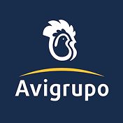 Avigrupo